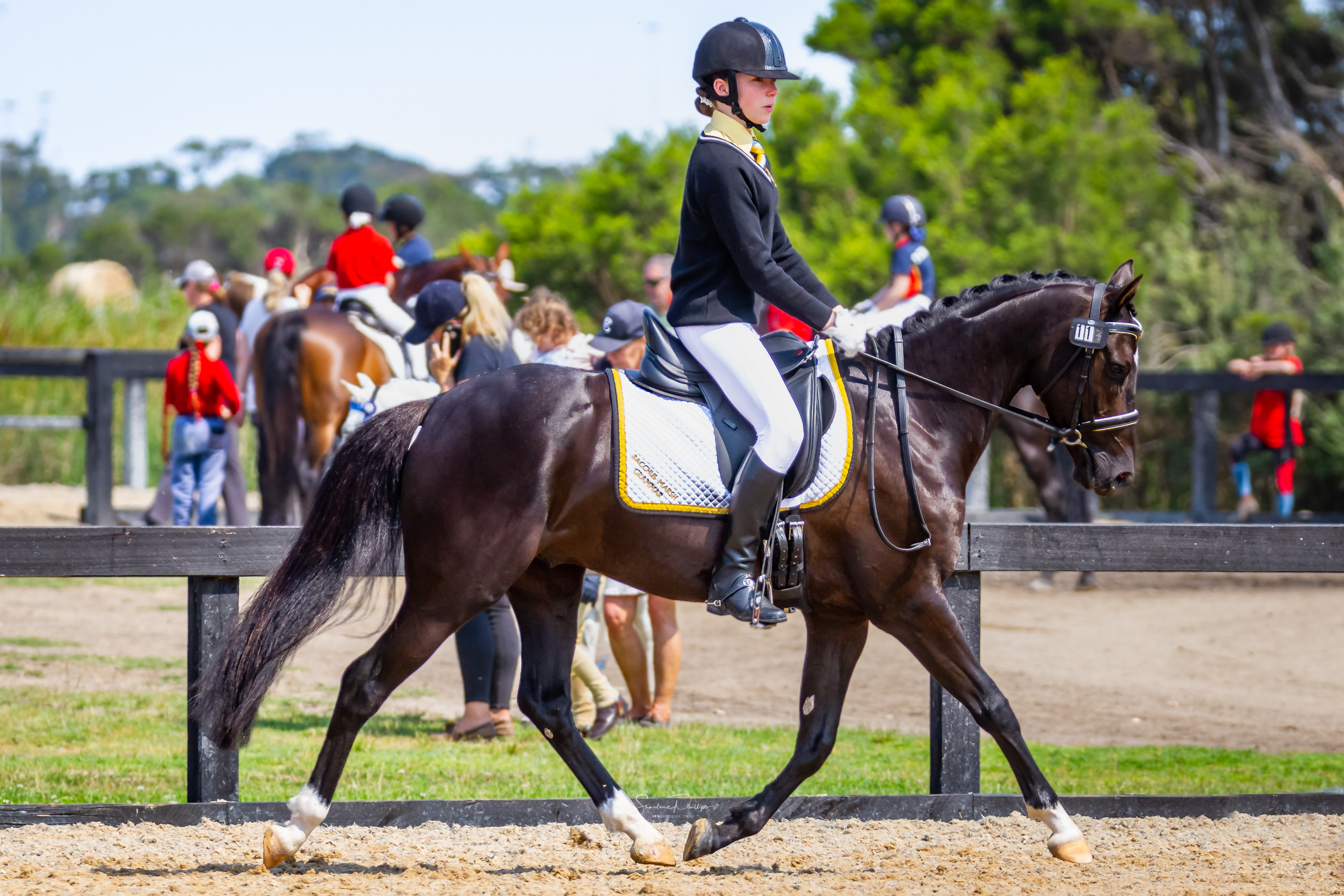 Equestrian Interschool Victoria a destination for all your equestrian