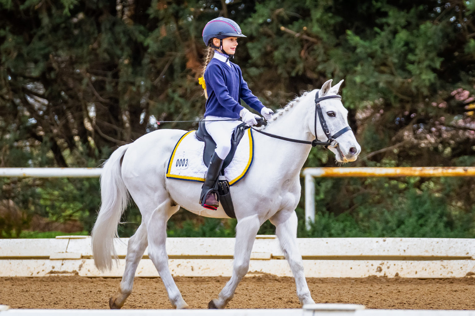 Combined Training Equestrian Interschool Victoria